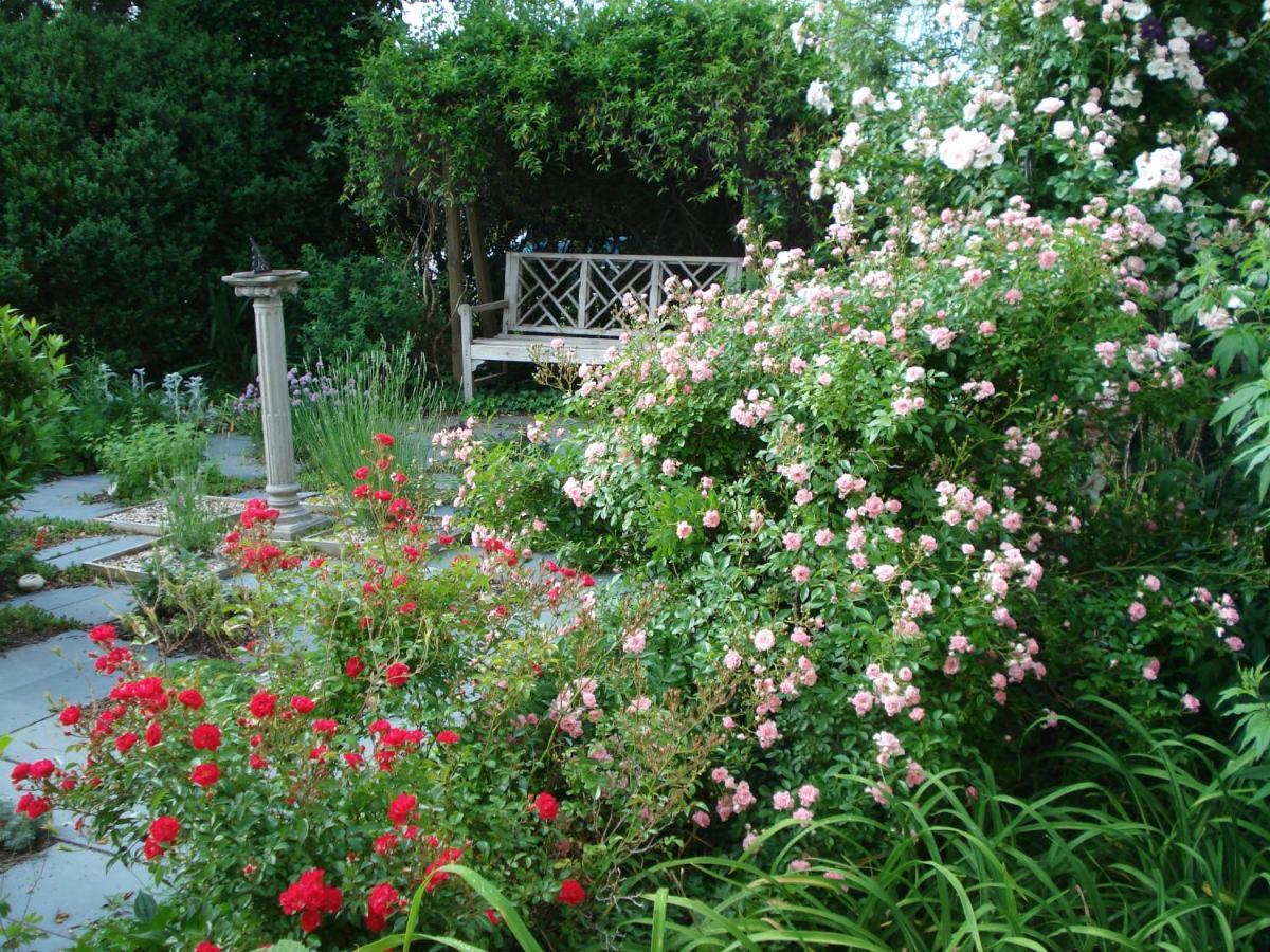 Newport House Bed & Breakfast Williamsburg Buitenkant foto